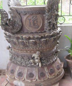 Cây văn hoá