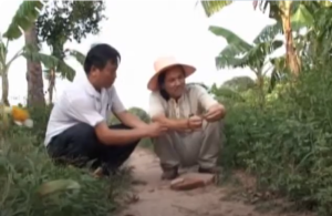 Trung tâm bảo tồn gốm cổ Luy Lâu
